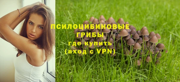 гашик Волоколамск