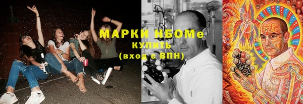 PSILOCYBIN Волосово