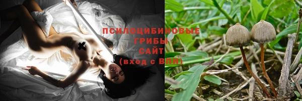 гашик Волоколамск