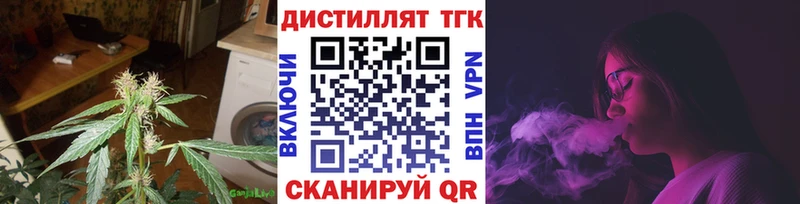 Купить закладки Северо-Курильск ТГК концентрат